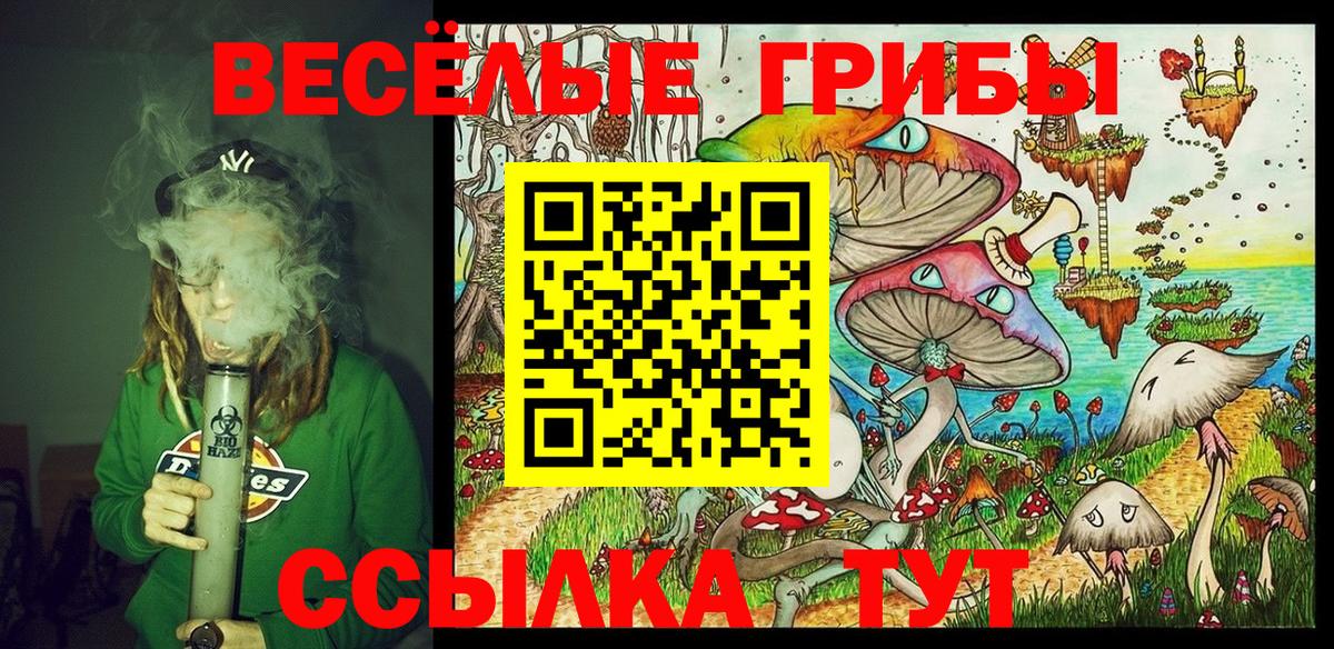 Галлюциногенные грибы мицелий Березники