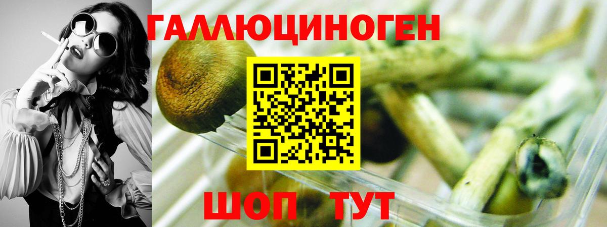 Березники  Галлюциногенные грибы GOLDEN TEACHER  где продают   Вход с VPN 