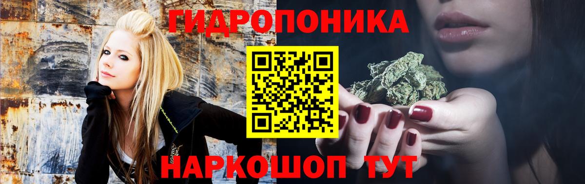 Березники  Канабис Ganja  Вход с VPN  Шишки марихуана OG Kush 